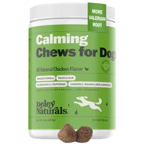 Calming Supplement for Dogs