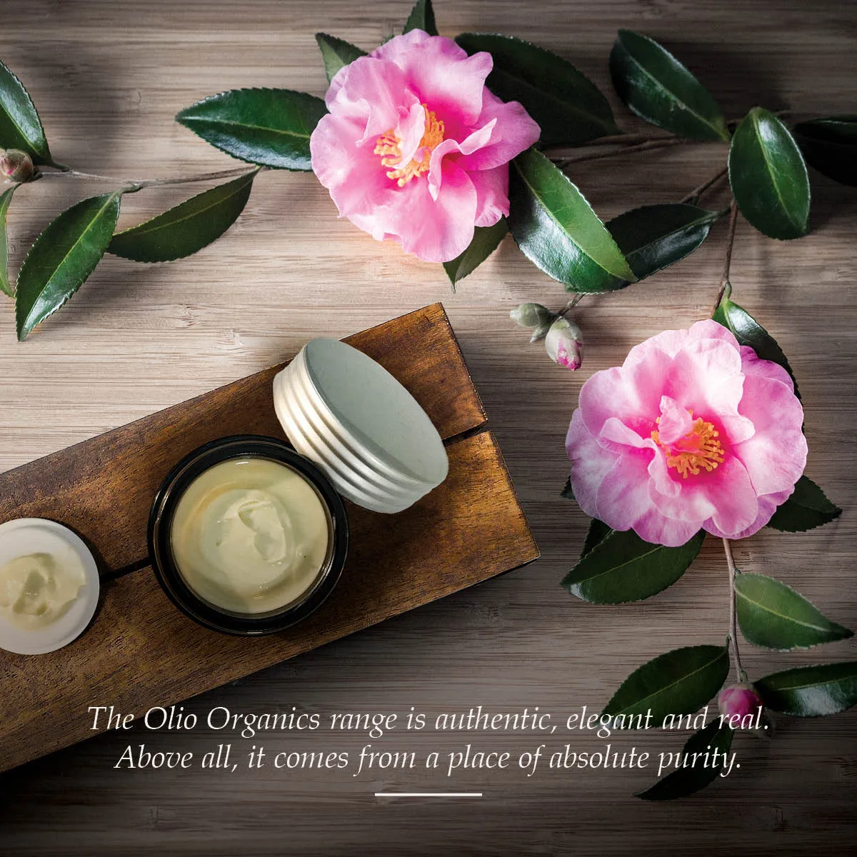 Camellia & Chamomile Night Cream