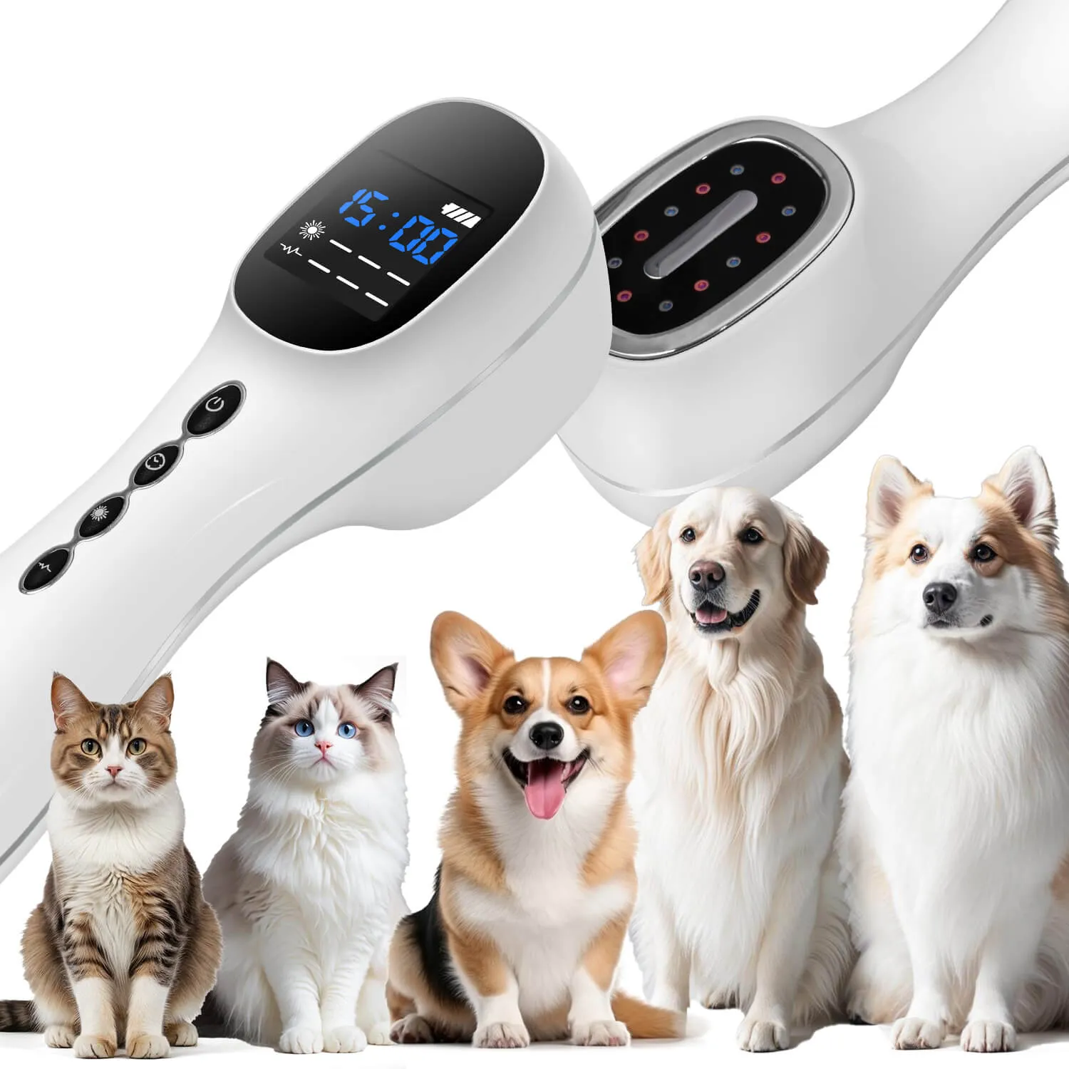 Cold Laser Therapy Device for dogs and cats