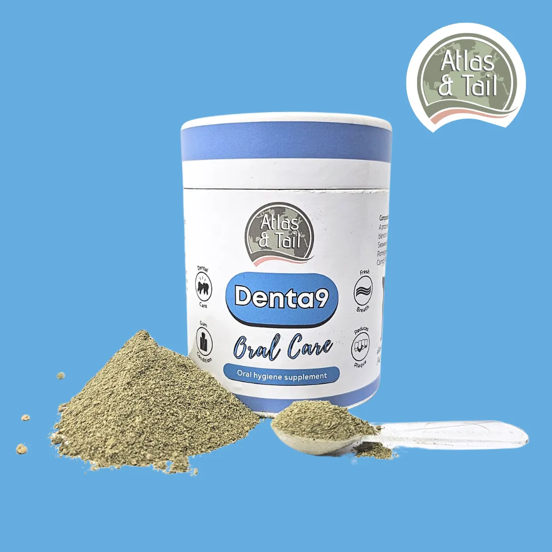 Denta9 - Oral Care