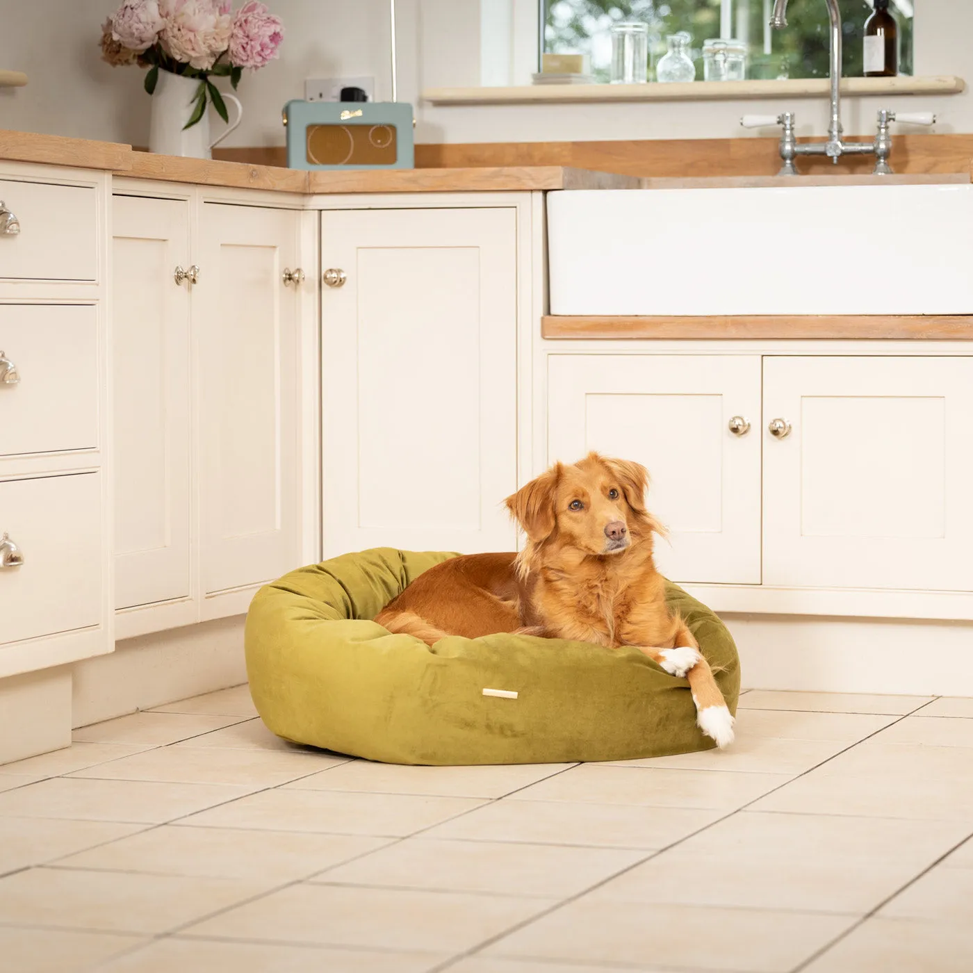 Donut Bed in Olive Velvet by Lords & Labradors