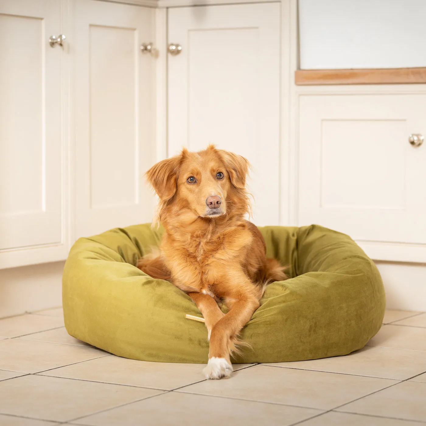 Donut Bed in Olive Velvet by Lords & Labradors