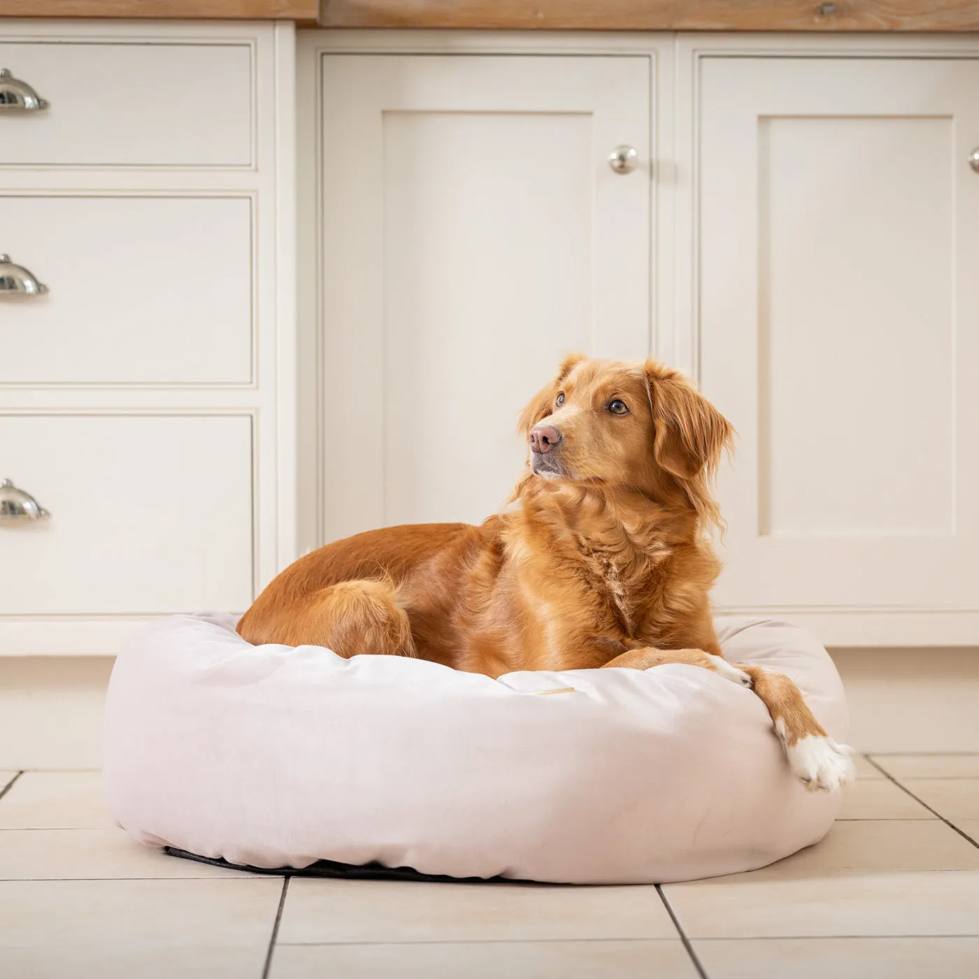 Donut Bed With Removable Covers in Blossom Velvet by Lords & Labradors