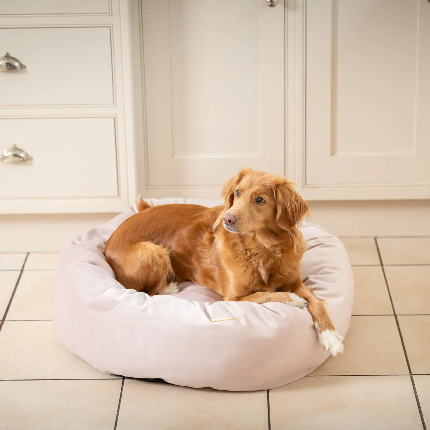 Donut Bed With Removable Covers in Blossom Velvet by Lords & Labradors