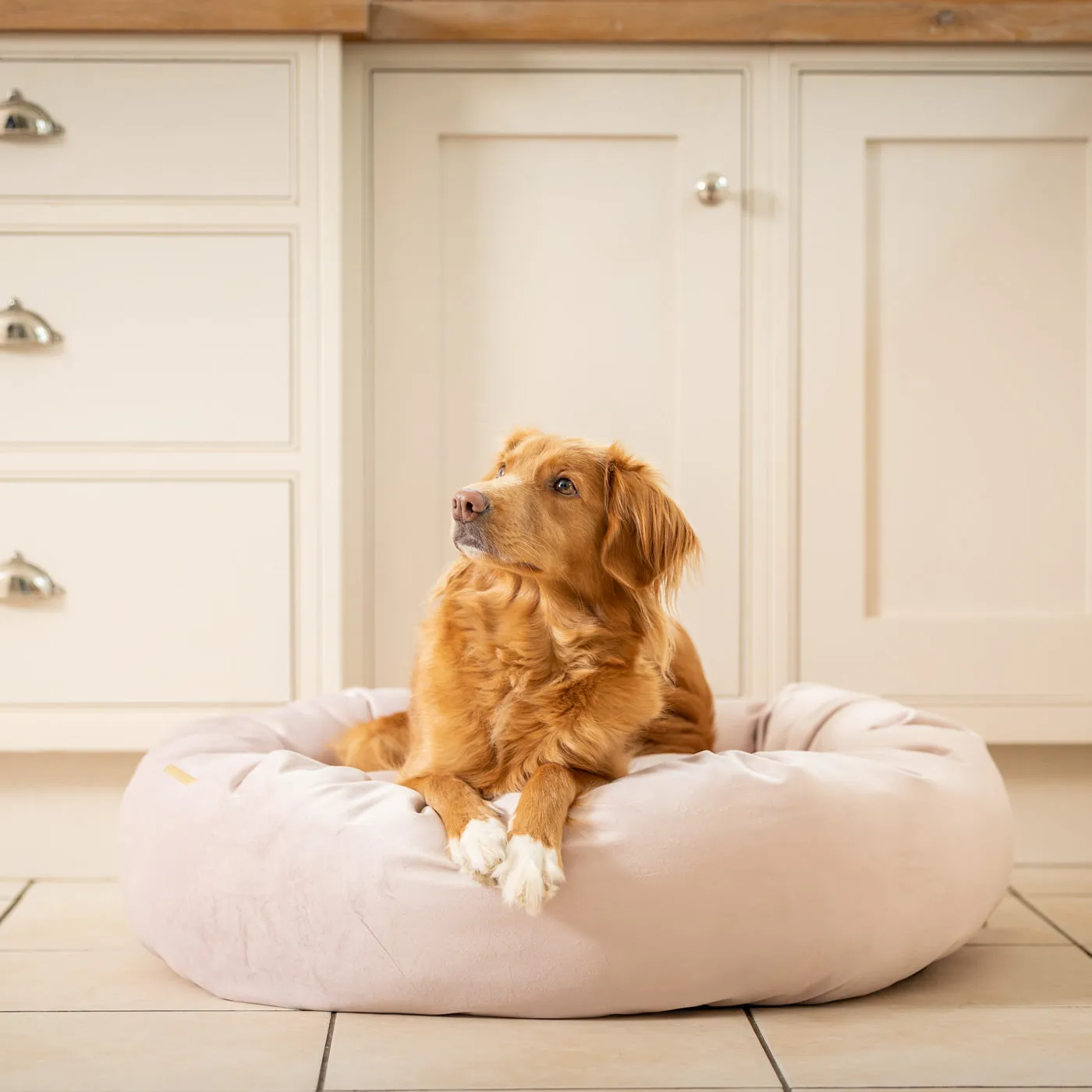 Donut Bed With Removable Covers in Blossom Velvet by Lords & Labradors