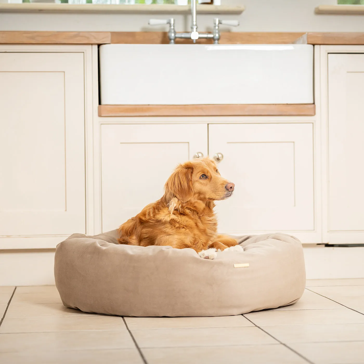 Donut Bed With Removable Covers in Clay Velvet by Lords & Labradors