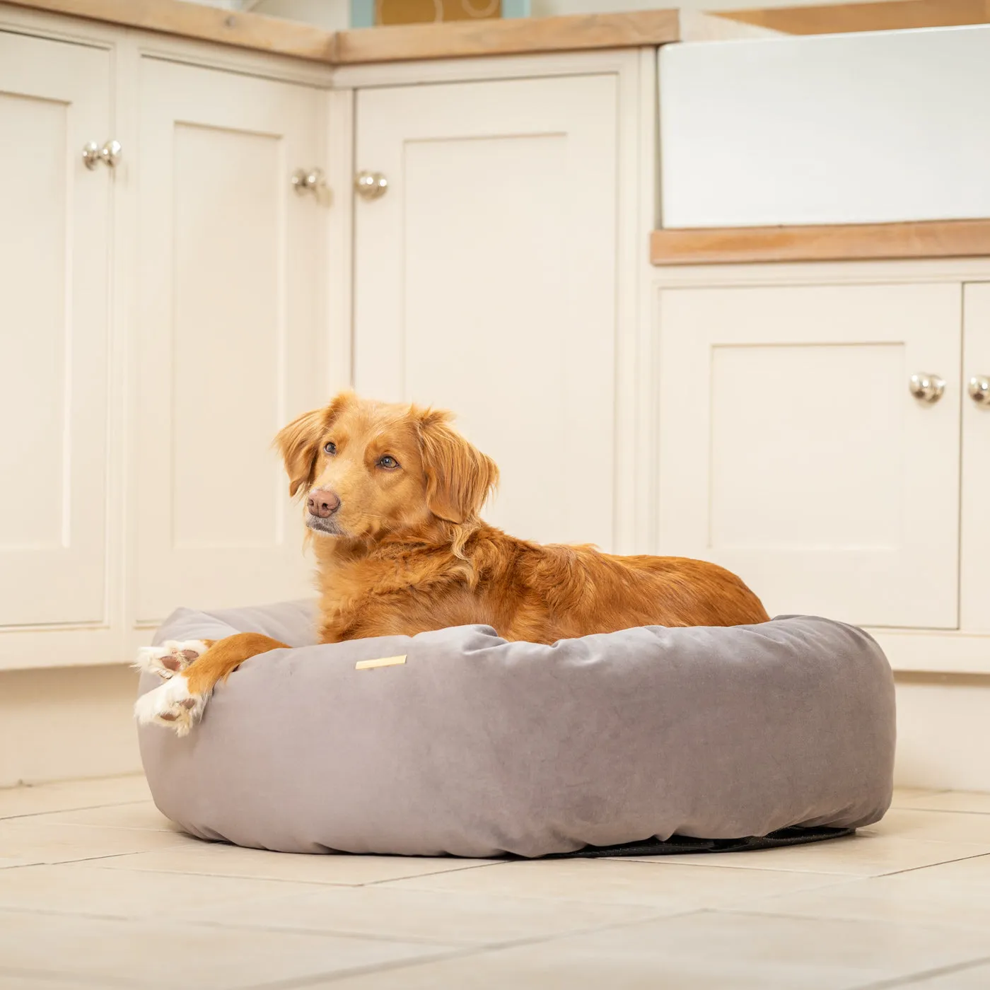 Donut Bed With Removable Covers in Silt Velvet by Lords & Labradors