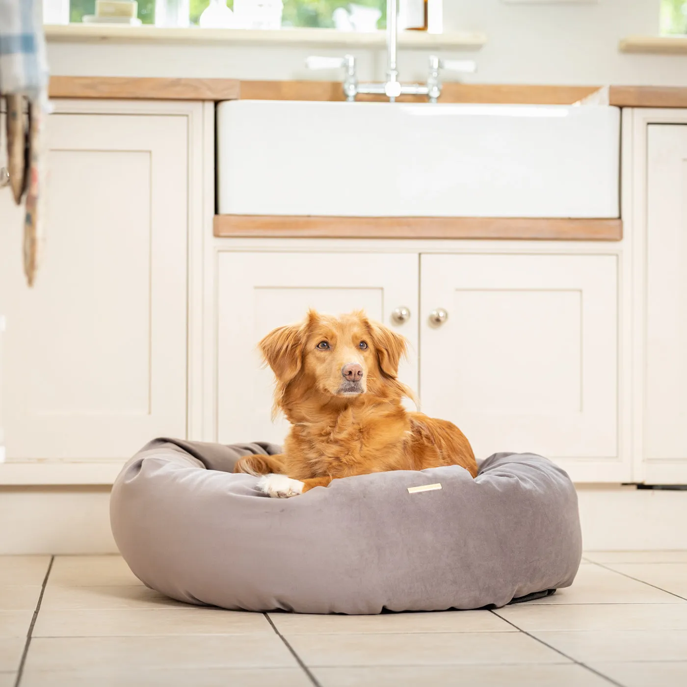 Donut Bed With Removable Covers in Silt Velvet by Lords & Labradors