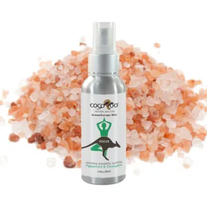 FOCUS - Aromatherapy Mist