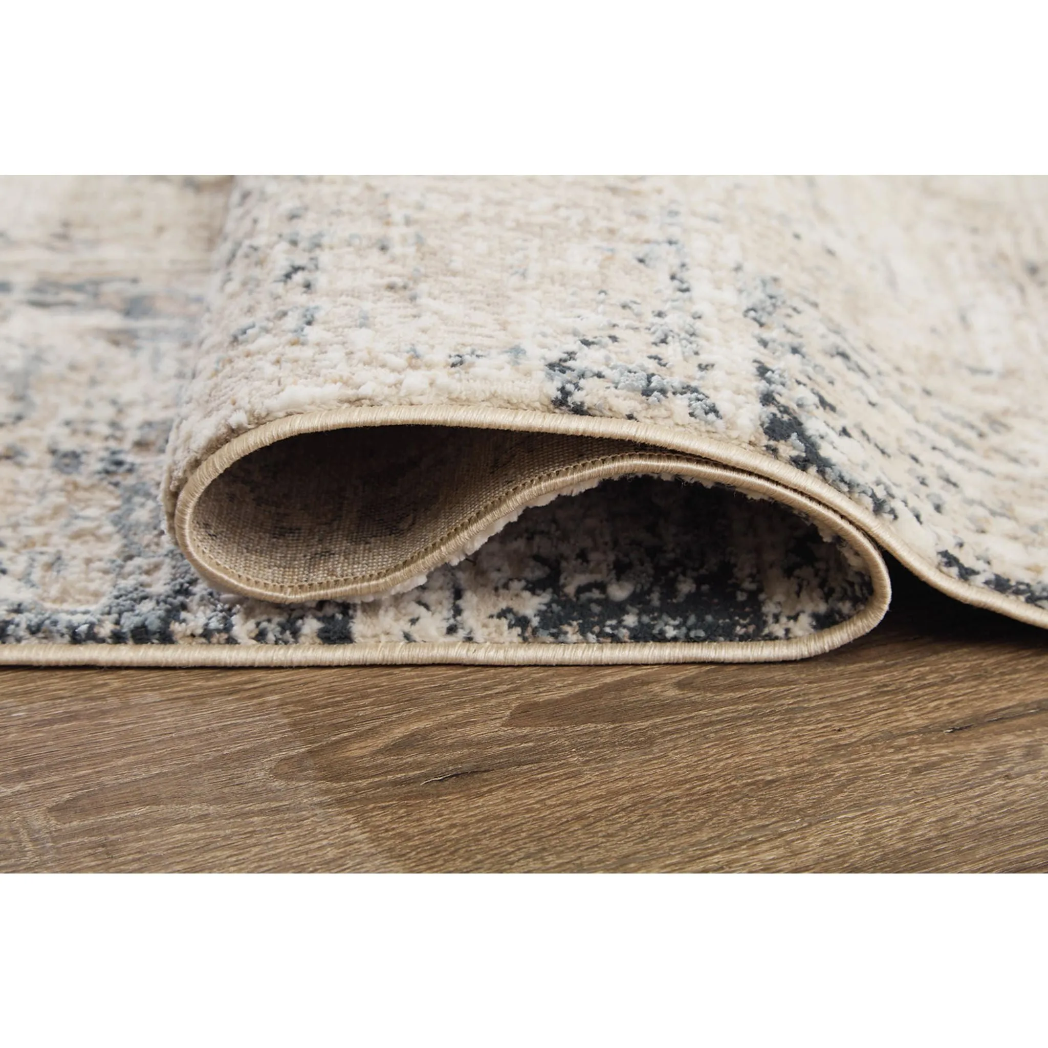 Gentor Area Rug