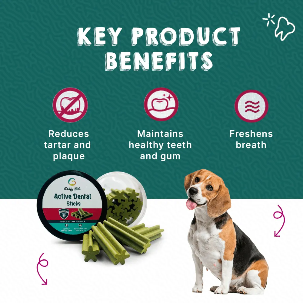 Goofy Tails Seaweed Active Dental Twists Dog Treats