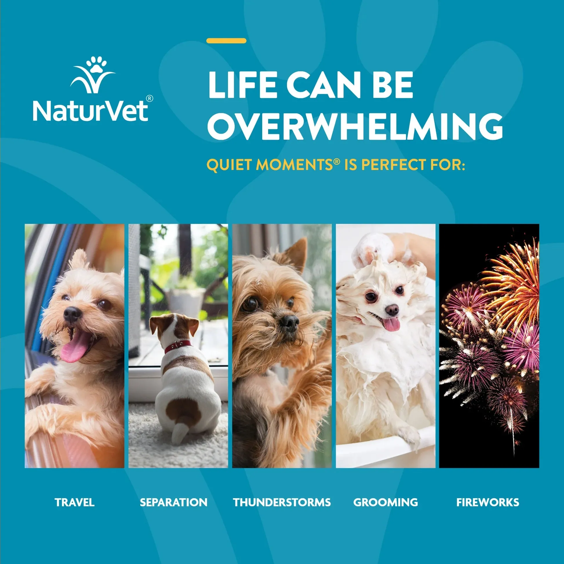 NaturVet Quiet Moments® Dog Calming Aid Soft Chews