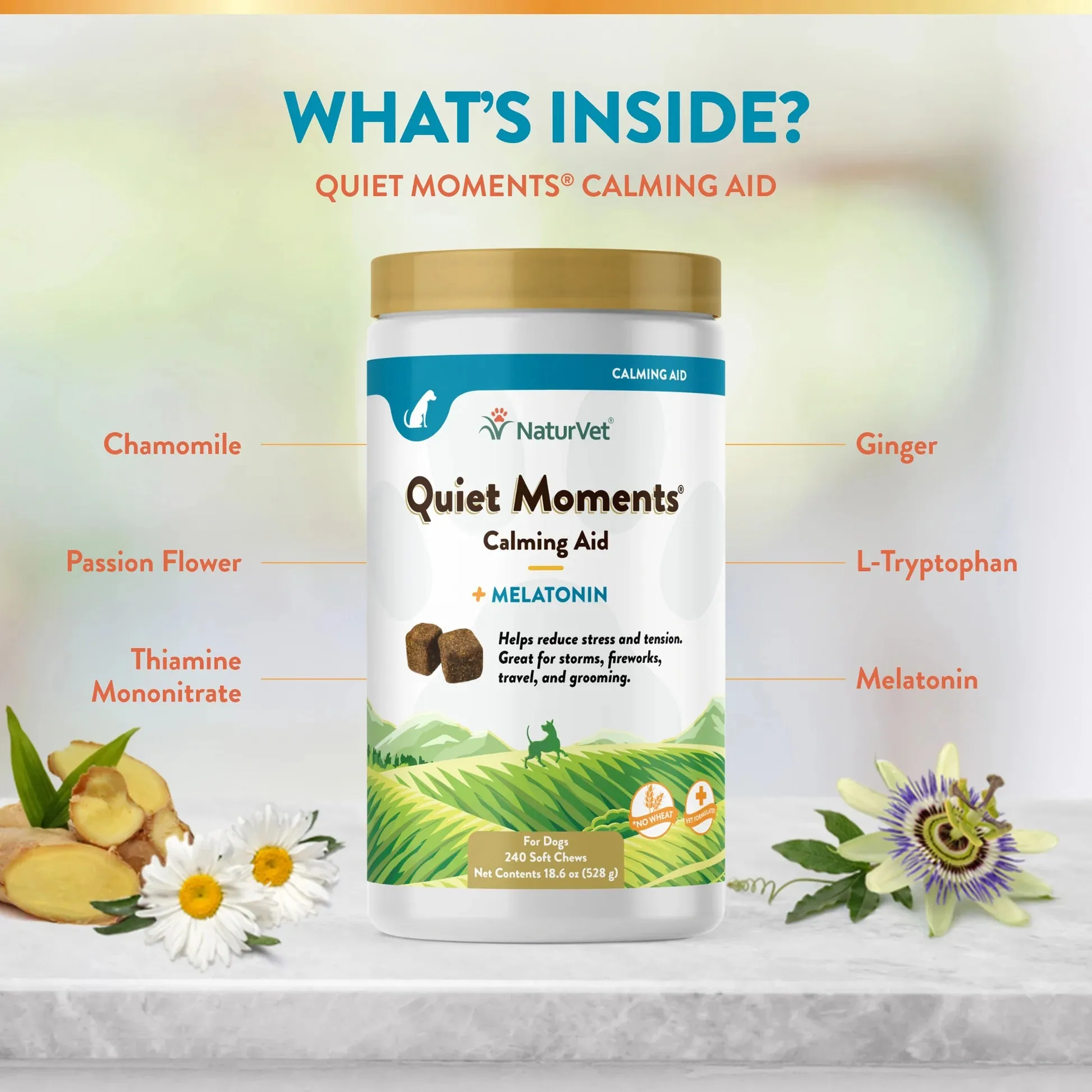 NaturVet Quiet Moments® Dog Calming Aid Soft Chews