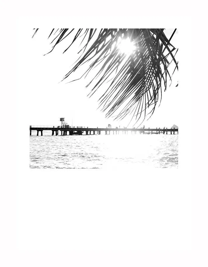 Palm Cove I Unframed Art Print