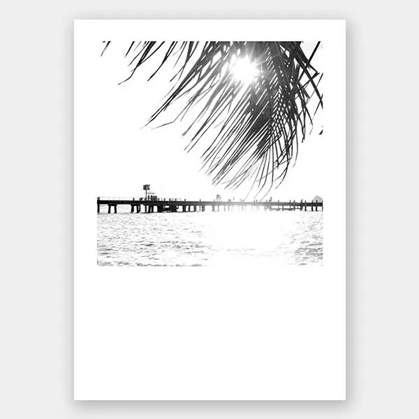 Palm Cove I Unframed Art Print