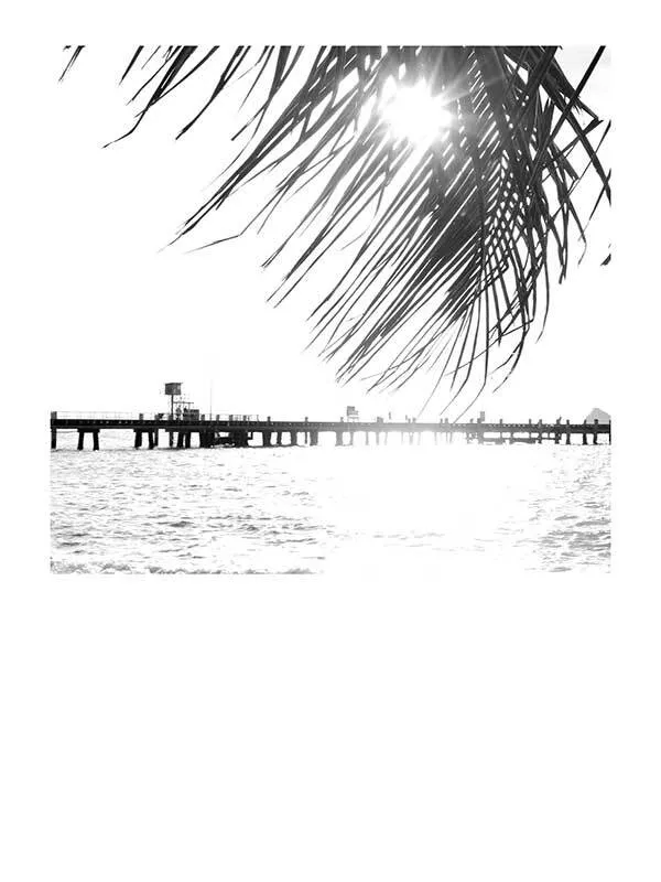 Palm Cove I Unframed Art Print