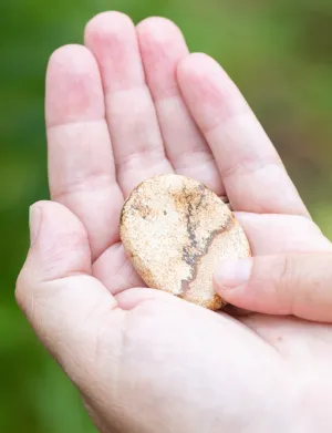 Picture Jasper Relief Stone for Resilience