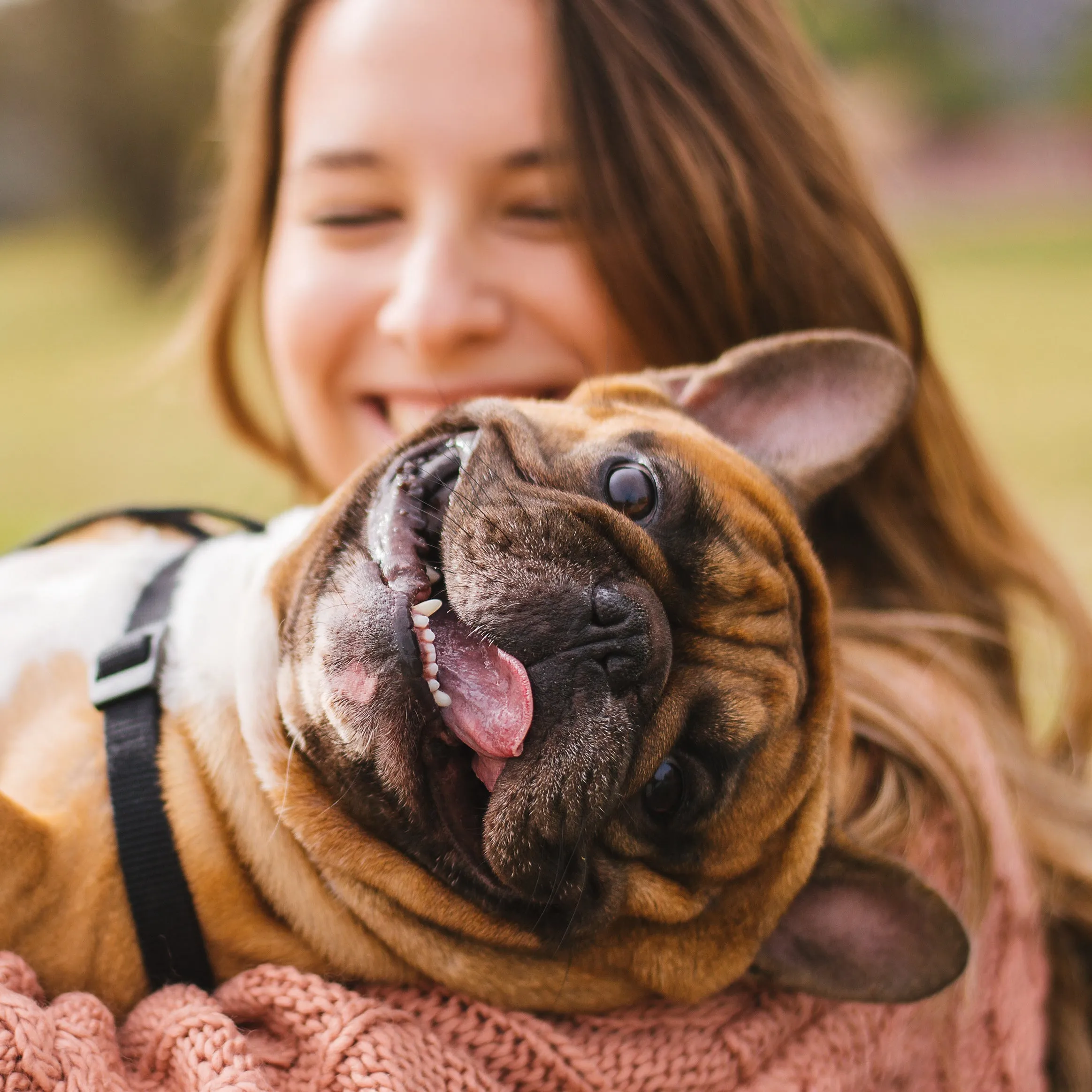 Sip & Wag this Winter: CHESTER's Hot Cocoa Latte Dog Treat Mix (Probiotics, Fresh Breath, Immune Support)