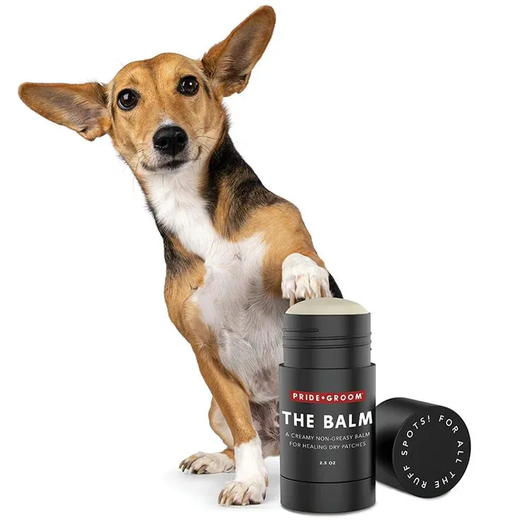 THE BALM Dog Healing Balm